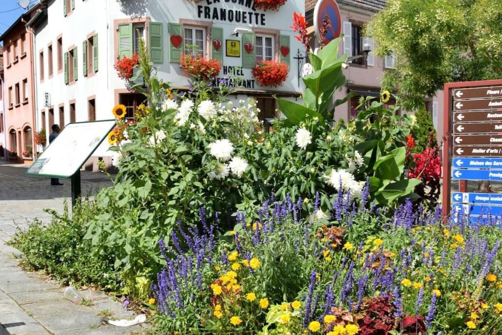 Ville Centre - Gite Le Villois - Au Coeur De L'Alsace Kültér fotó