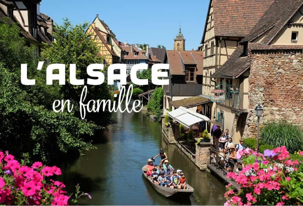 Ville Centre - Gite Le Villois - Au Coeur De L'Alsace Kültér fotó