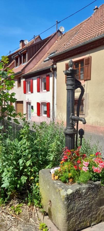 Ville Centre - Gite Le Villois - Au Coeur De L'Alsace Kültér fotó